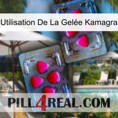 Utilisation De La Gelée Kamagra 15